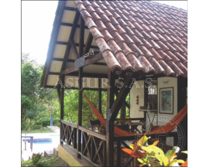 FINCA-CARMEN DE APICALA-TOLIMA